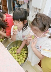 大きなお芋出てこい!